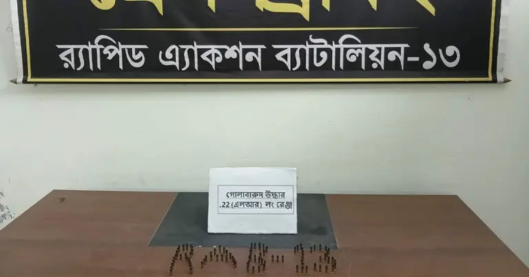 উদ্ধার করা গুলি