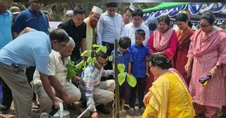 সড়ক বিভাগের উদ্যোগে রাঙামাটিতে দেশিয় ২০ প্রজাতির গাছ রোপন শুরু