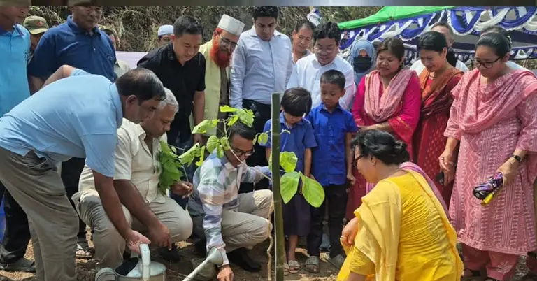 গাছ রোপন