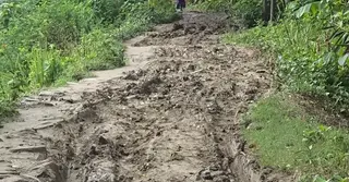 অর্ধযুগেও সংস্কার হয়নি সড়ক; দুর্ভোগে মানিকগঞ্জের হাজারো মানুষ