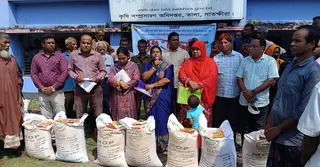 সাতক্ষীরায় কৃষকদের মধ্যে সার ও বীজ বিতরণ