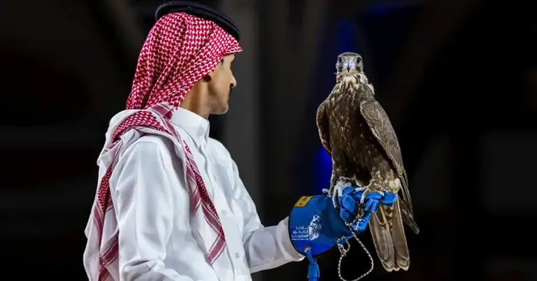 নিলামে বিক্রি বাজপাখি