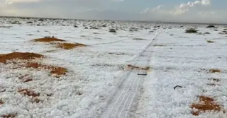 তুষারপাতের কবলে সৌদি আরব, শিলাবৃষ্টি ও ঝোড়ো হাওয়ারও পূর্বাভাস