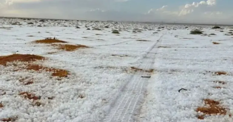 তুষারপাতে ঢেকে গেছে মরুভূমি