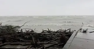 বরগুনায় সৈকতে গোসলে নেমে পর্যটক নিখোঁজ