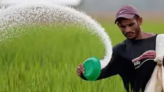 ডিসেম্বর পর্যন্ত সারের পর্যাপ্ত মজুদ আছে : কৃষি সচিব