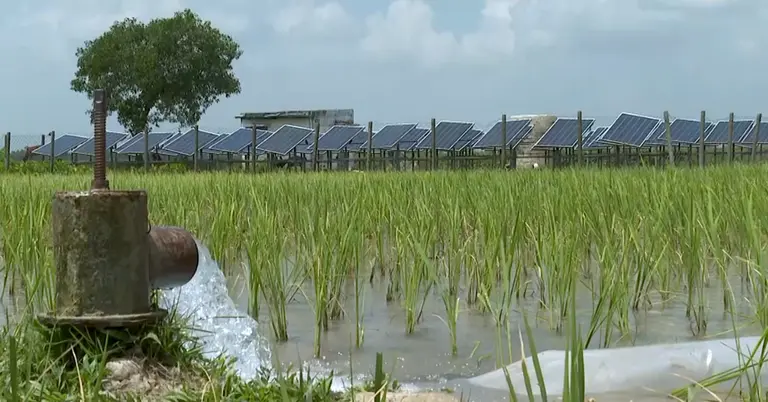 সোলার প্যানেল