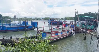 সোমবার থেকে জেলে-বাওয়ালি ও পর্যটকদের জন্য খুলছে সুন্দরবন