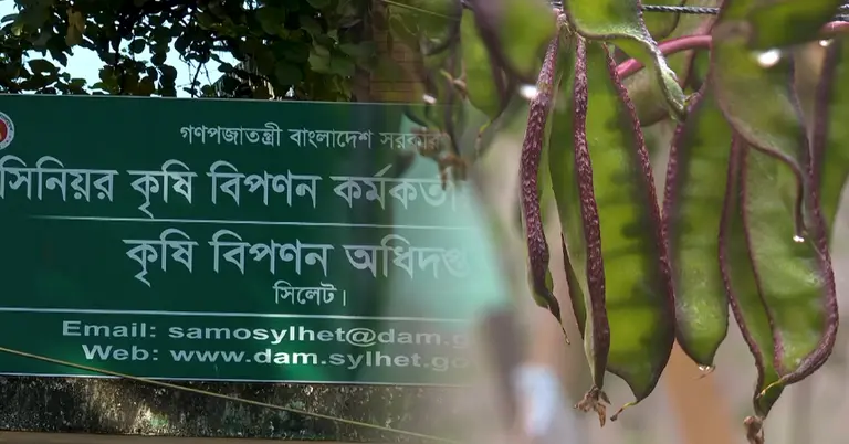 কৃষি বিপণন অধিদপ্তর ও সবজি