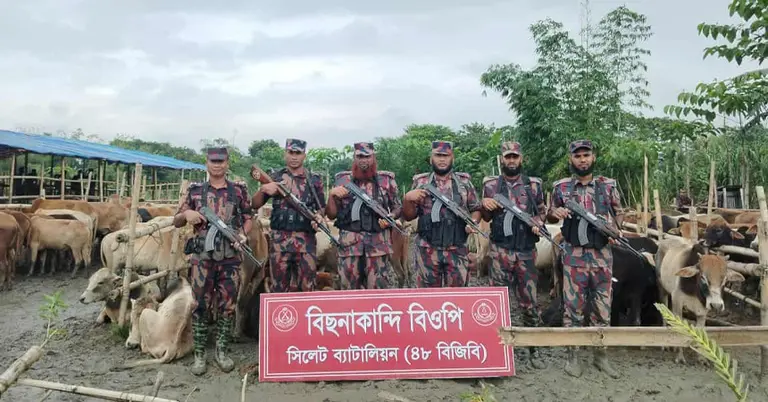 আটক করা গরু ও মহিষের চালান