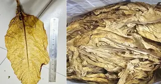 চট্টগ্রাম বন্দরে পাকিস্তান থেকে আসা ১০ কনটেইনার তামাক আটক