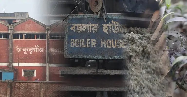 ঠাকুরগাঁও সুগার মিলে ছাই দূর্ষণ