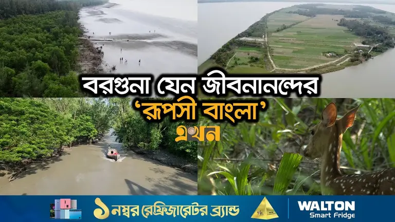 স্নিগ্ধ দ্বীপবন কিংবা টেংরাগিরির অপার সৌন্দর্যে মুগ্ধ পর্যটকরা