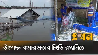 মাছের ঘের ভেসে যাওয়ায় ক্ষতিগ্রস্ত কয়েক হাজার মাছ চাষি