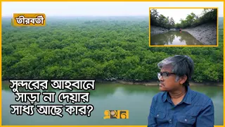 অর্চণার পরও বাঘের কাছ থেকে ফেরা হয় না কারো কারো