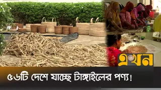 কলাগাছ ও আনারসের পাতা থেকে হস্তশিল্প সামগ্রী