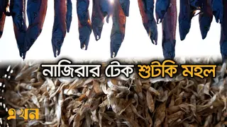 প্রতিদিন উৎপাদন হয় প্রায় ২০০ টন শুঁটকি!