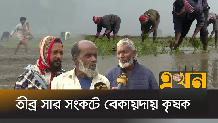 ডিলারদের কাছে বারবার ধর্না দিয়েও মিলছে না সার