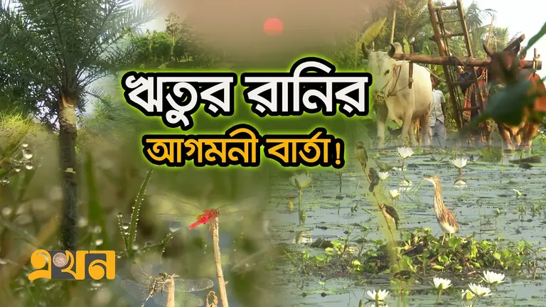 মোহনীয় রূপে সেজে উঠেছে উত্তরের জনপদ