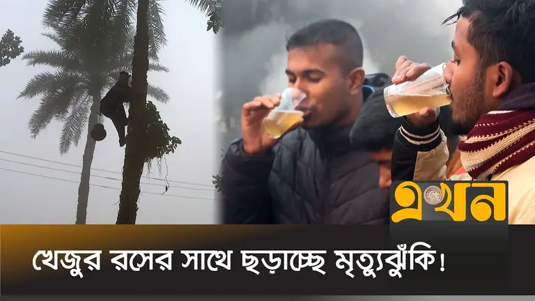 খেজুরের রস পানে ‘খামখেয়ালিপনা’, বাড়াচ্ছে মৃত্যুঝুঁকি