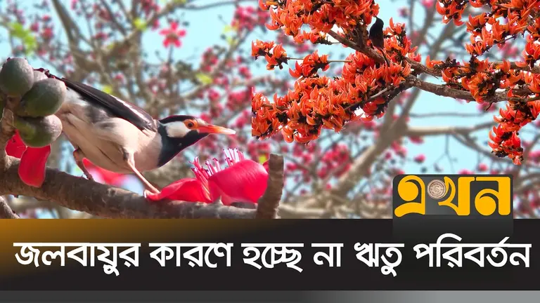 নতুনরূপে প্রকৃতিতে এসেছে বসন্ত; ‘দাপট’ জলবায়ু পরিবর্তনের