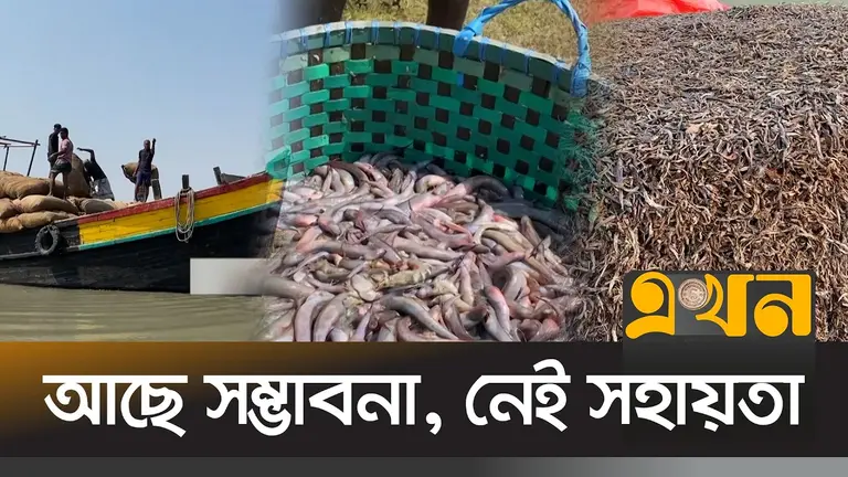 স্টোরেজ ও পরিবহন সংকটে হাতিয়ার শুঁটকি শিল্প