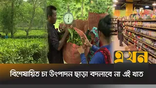 চায়ের দাম বাড়লেও লোকসানে বাংলাদেশের চা বাগান!