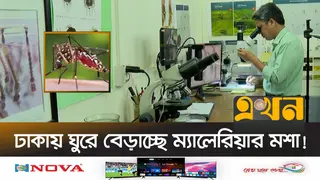 রাজধানীতে ম্যালেরিয়া ছড়ানোর শঙ্কা; তিন মাসেই আক্রান্ত ৪৬০
