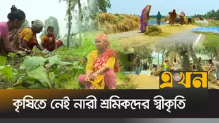 মজুরি বৈষম্যের শিকার; তবু স্বীকৃতি নেই নারী কৃষকের