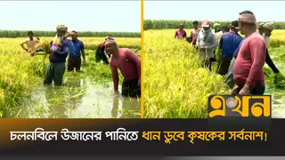 বগুড়ায় হচ্ছে আন্তর্জাতিক বিমানবন্দর ও বিমানঘাঁটি