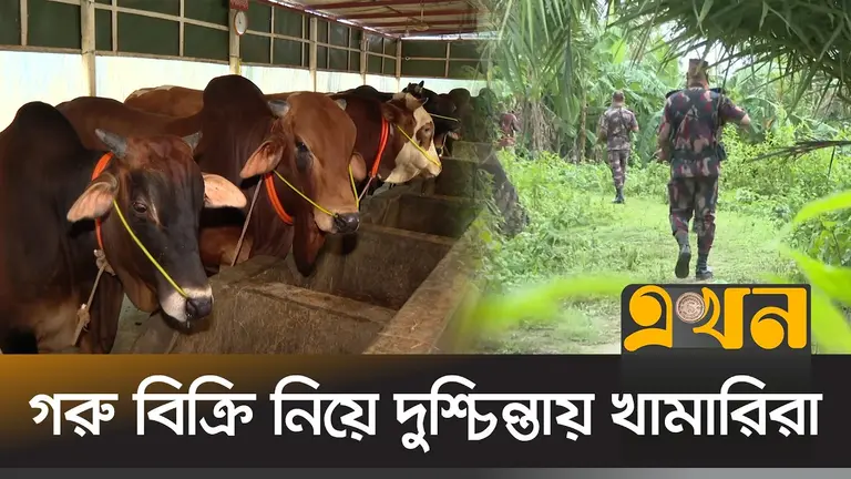 পশুর অনুপ্রবেশ ঠেকাতে সীমান্তে বাড়তি নজরদারি