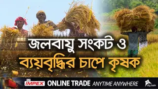 কৃষির স্বার্থে বাজেটে বরাদ্দ-ভর্তুকি বাড়বে কি?