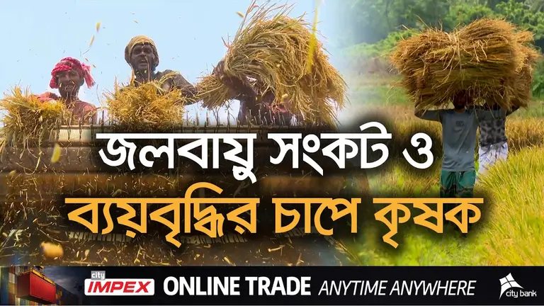 কৃষির স্বার্থে বাজেটে বরাদ্দ-ভর্তুকি বাড়বে কি?