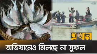 এক লাখ মেট্রিক টন ইলিশ উৎপাদন কমেছে বরিশালে