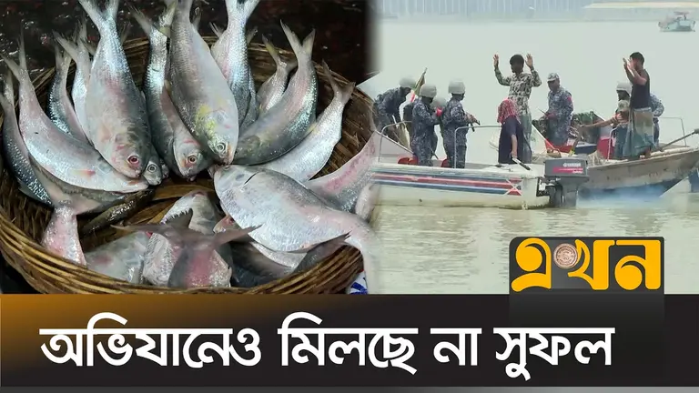 এক লাখ মেট্রিক টন ইলিশ উৎপাদন কমেছে বরিশালে