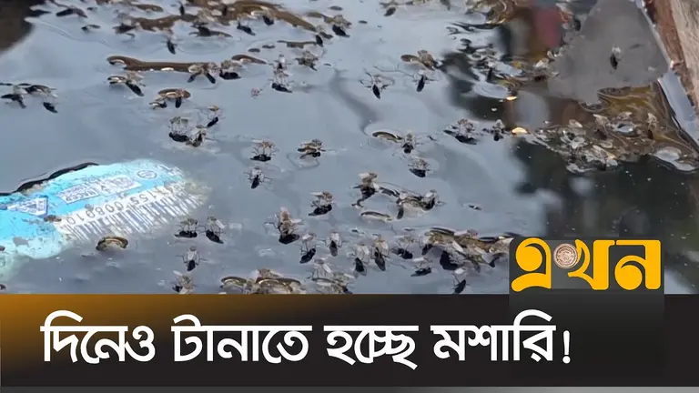 মশার কামড়ে অতিষ্ঠ জনজীবন, বাড়ছে ডেঙ্গুর শঙ্কা
