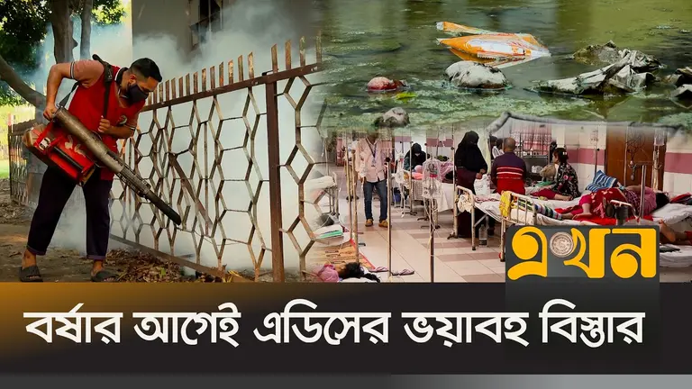 ডেঙ্গুর ঝুঁকিতে রাজধানী, ঘর-আঙিনা পরিষ্কার রাখার তাগিদ