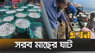 নিষেধাজ্ঞা শেষে কাপ্তাই হ্রদে মাছ ধরা শুরু, প্রাণচাঞ্চল্য জেলেপল্লিতে