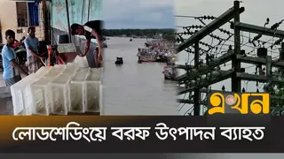 কমছে বরফ উৎপাদন, ইলিশের ভরা মৌসুমে বিপাকে মৎস্য ব্যবসায়ীরা