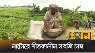 কৃষকদের অভিযোগ, ডিলার পয়েন্টগুলোতে মিলছে না প্রয়োজনীয় সার