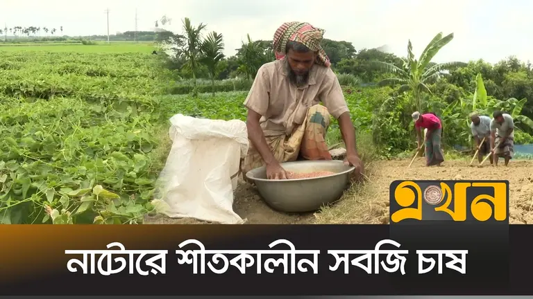 কৃষকদের অভিযোগ, ডিলার পয়েন্টগুলোতে মিলছে না প্রয়োজনীয় সার