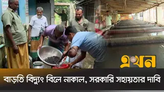 ৪০ কোটি পোনা উৎপাদন, তবু সুযোগ-সুবিধা অভাবে হতাশ চাষিরা