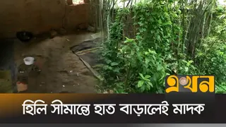 হিলি সীমান্তে মাদকের সহজলভ্যতা ও বিস্তারে বাড়ছে উদ্বেগ