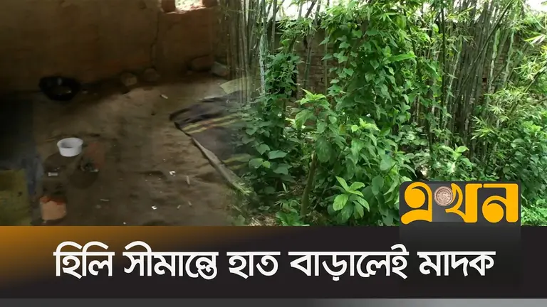 হিলি সীমান্তে মাদকের সহজলভ্যতা ও বিস্তারে বাড়ছে উদ্বেগ