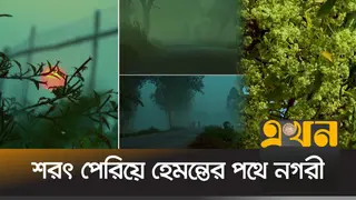 শরতের বিদায়বেলায় কাশফুলে ধূসরতার ছোঁয়া