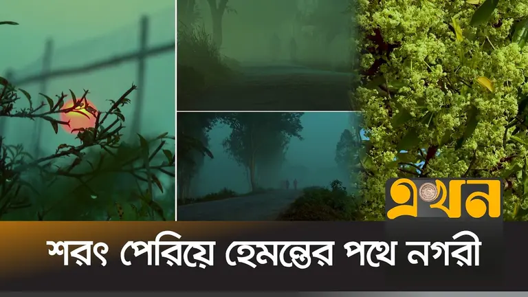 শরতের বিদায়বেলায় কাশফুলে ধূসরতার ছোঁয়া