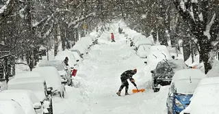 যুক্তরাষ্ট্রে শক্তিশালী তুষার ঝড়ে ৩ হাজার ফ্লাইট বাতিল, চার রাজ্যে জরুরি অবস্থা