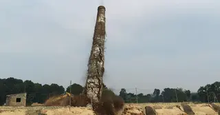 মেহেরপুরে অবৈধ ইটভাটায় উচ্ছেদ অভিযান