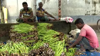 দেশ-বিদেশে সমাদৃত জয়পুরহাটের কচুর লতি