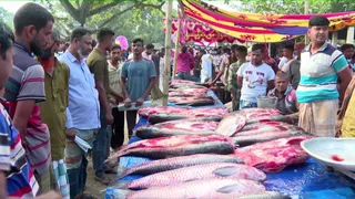 বগুড়ায় তিনশ বছরের পুরনো মাছের মেলা